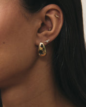 Sally Studs
