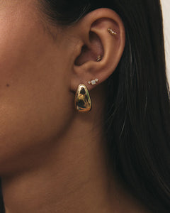 Sally Studs