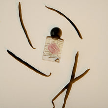 Odesse Perfume
