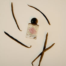 Odesse Perfume- Vanilla Vanilla